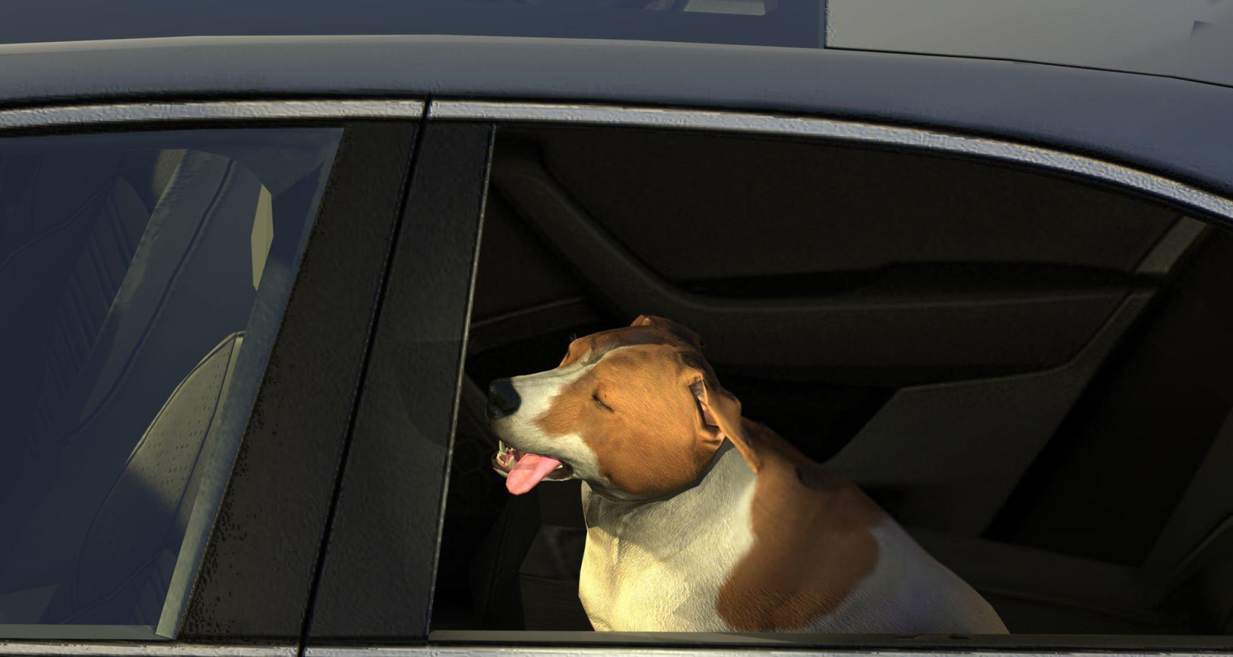 Pet Friendly Chauffeur London